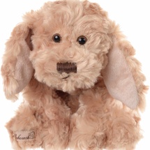 Buddy puppy